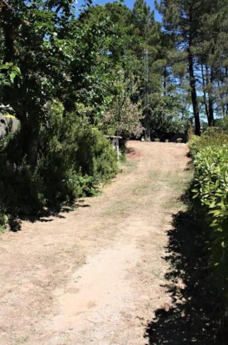 Appartement Tout Equipe En Rez-De-Jardin Entre Gard Et Ardeche Saint-Julien-de-Peyrolas エクステリア 写真