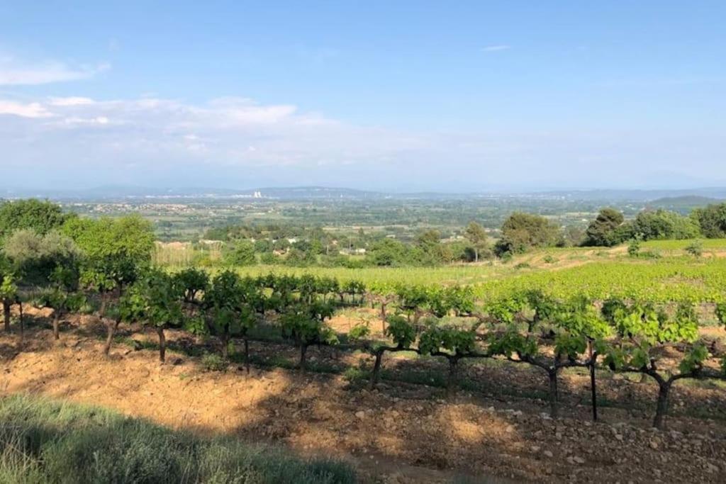 Appartement Tout Equipe En Rez-De-Jardin Entre Gard Et Ardeche Saint-Julien-de-Peyrolas エクステリア 写真